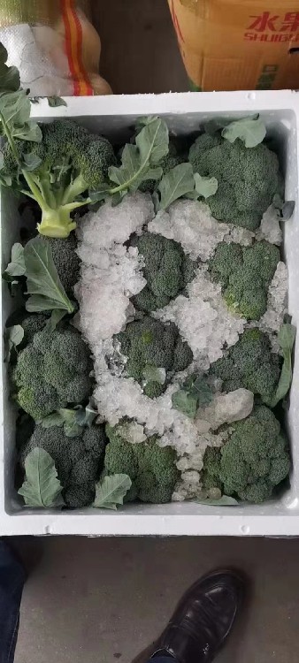 厦门蔬菜配送厦门工厂食材配送厦门大型蔬菜配送公司